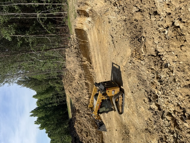 Recent project 4