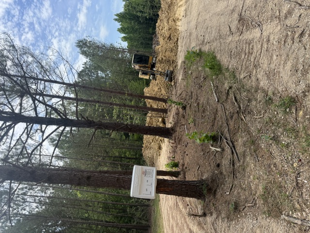 Lot clearing and site preparation